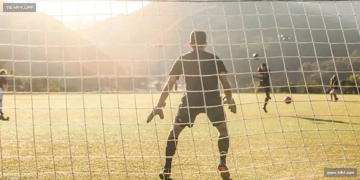 我们的核心竞争力